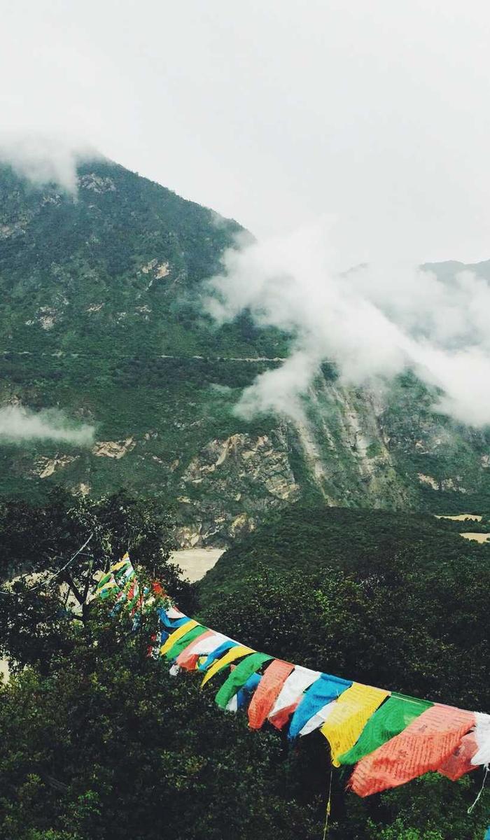 紹介コンテンツ画像