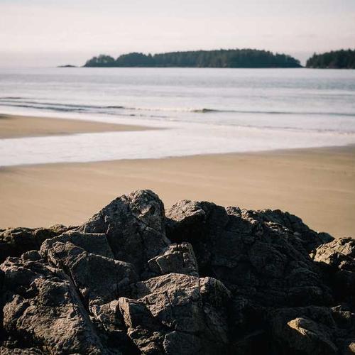 紹介コンテンツ画像