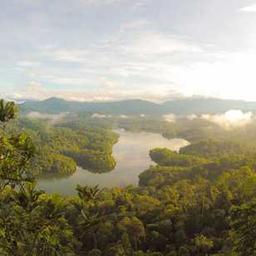 紹介コンテンツ画像