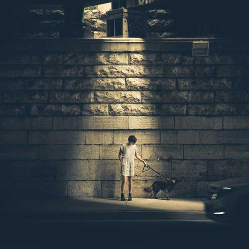 紹介コンテンツ画像